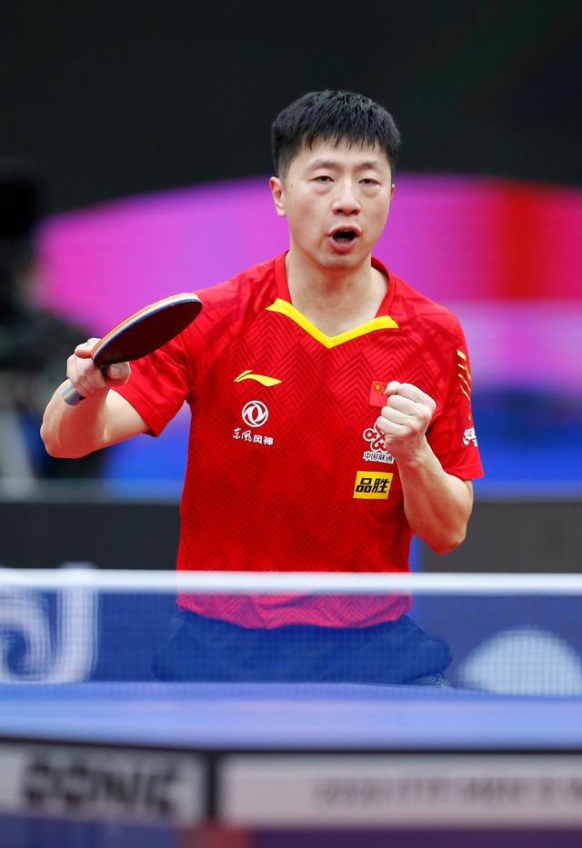 种尊重运动 种尊重运动